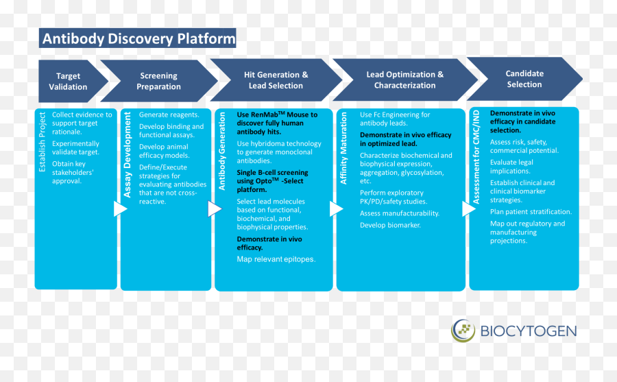 Antibody Discovery Services - Vertical Png,Antibody Png