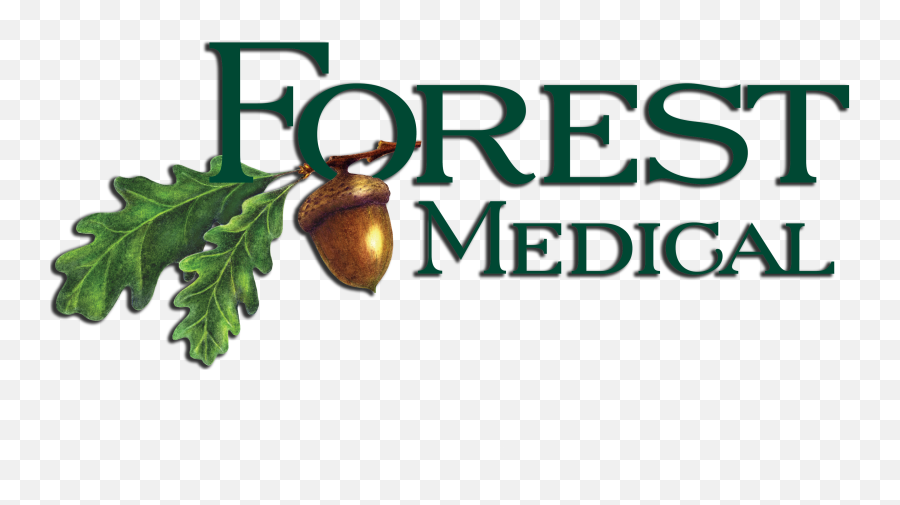 Home - Forest Medical Llc St Round Rock Medical Center Png,Transparent Forest
