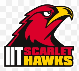 Engineers Without Borders Iit Home - Illinois Tech Scarlet Hawks png