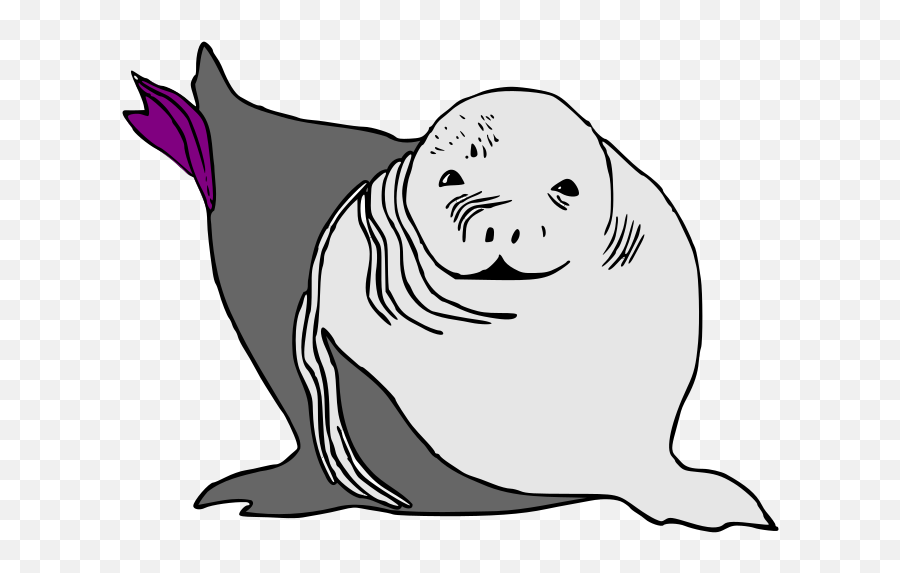 Seal Clipart Ocean - Cartoon Baby Sea Lion 960x718 Png Sea Lion Cartoon,Ocean Clipart Png