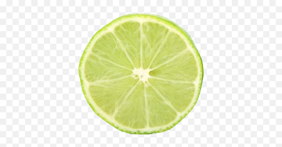 Lime Slice - Lemon Peel Png,Lime Slice Png