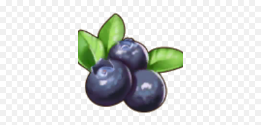 Blueberry Pocket Pioneers Wiki Fandom - Superfood Png,Blueberries Icon