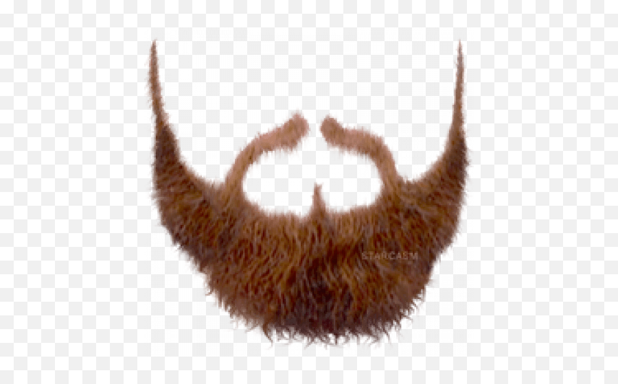 Pirate Beard Png Transparent Beardpng Images Pluspng - Haircut Png,Hair Png Transparent