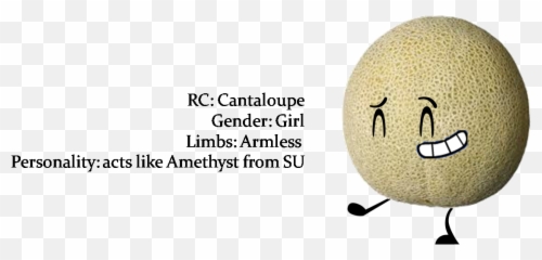 Download Cantaloupe Png Image With No Background - Pngkeycom Smiley,Cantaloupe Png