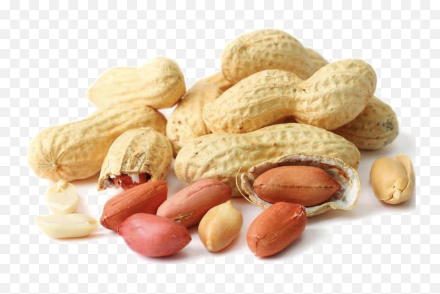 Peanut Png Image - Dry Fruits And Nuts,Peanut Transparent