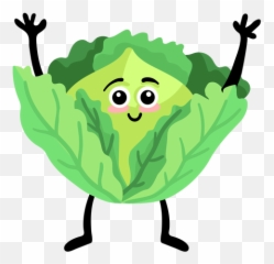 Cabbage Leaf Flat - Transparent Png U0026 Svg Vector File Coco Desenho Fruta Png,Cabbage Png