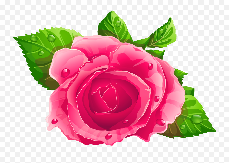Download Pink Rose Png - Transparent Png Png Images Pink Rose Png Clipart,Red Rose Png