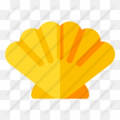 Shell - Colcha Marinha Png,Concha Png