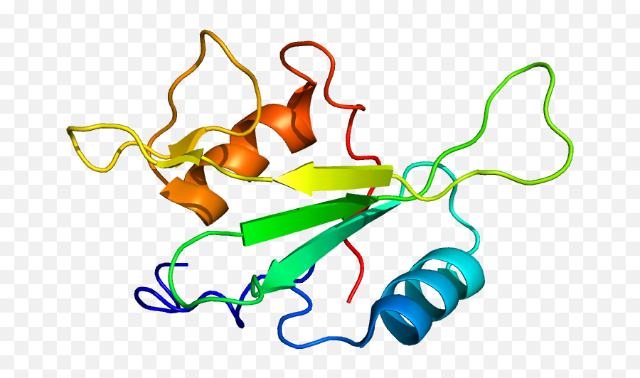 Fileprotein Bmx Pdb 2ekxpng - Wikimedia Commons Illustration,Bmx Png