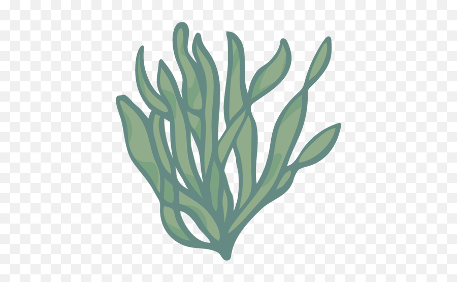 Transparent Png Svg Vector File - Plantas Marinhas Desenho Png,Seaweed Png