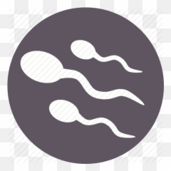 Human Part Sperm Spermatozoon Icon - Circle png