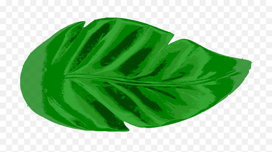 Tropical Leaves Vector Clip Art Eps Images - Tropical Leaf Green Tropical Leaves Printable Png,Leaf Vector Png
