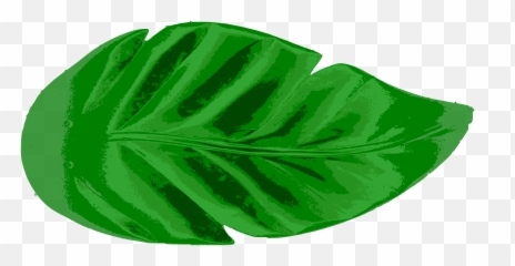 Tropical Leaves Vector Clip Art Eps Images - Leaf Green Printable png