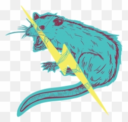 Cooper Foszcz Design Illustration - Illustration Png,Opossum Png