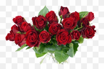Png Rose Flower 1 Image - Rose Flowers Transparent Background,Rose Flower Png
