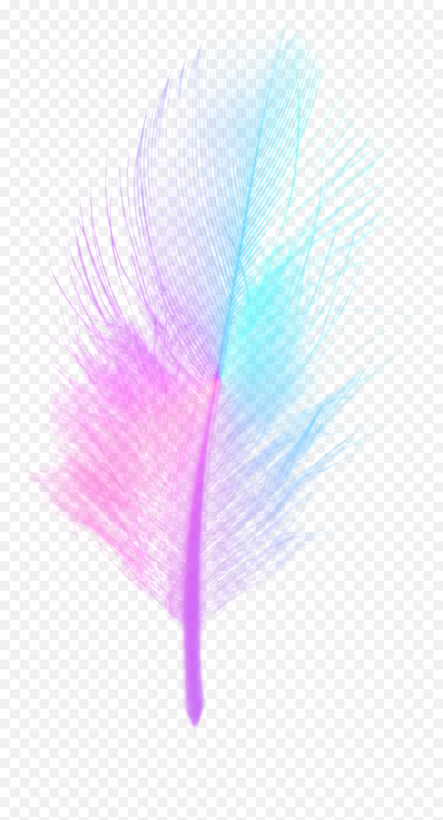 Small Feather 1 Free Stock Photo - Public Domain Pictures Png,Feather Transparent