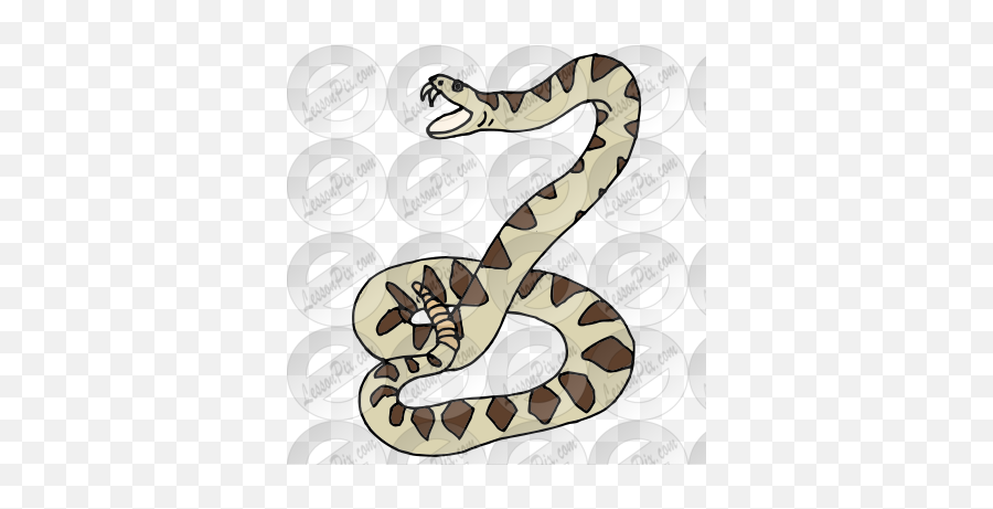 Rattlesnake Picture For Classroom Therapy Use - Great Python Png,Rattlesnake Png