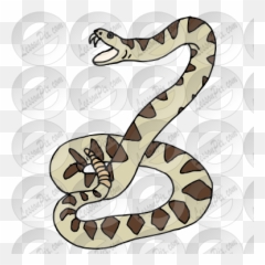 Rattlesnake Picture For Classroom Therapy Use - Great Python Png,Rattlesnake Png