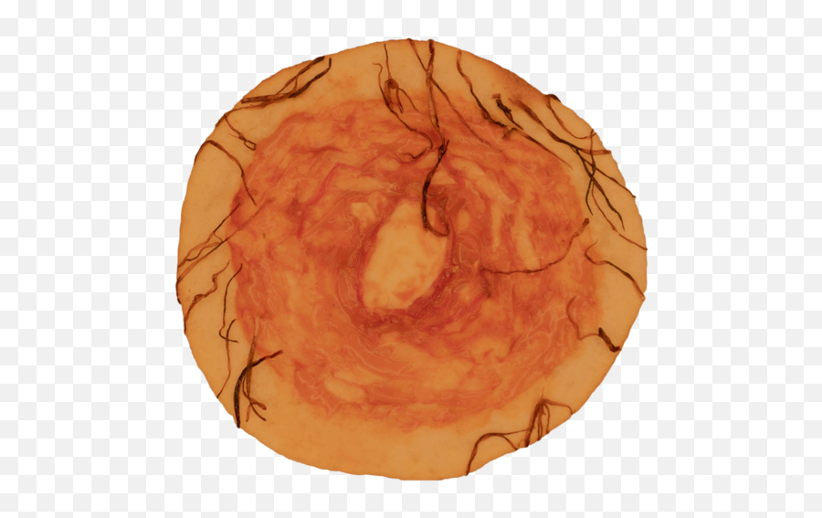 For Pizza - Circle Png,Nipple Png