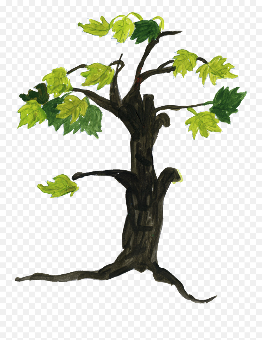 Tree Drawing Transparent - Tree Drawing Transparent Background Png,Tree Drawing Png