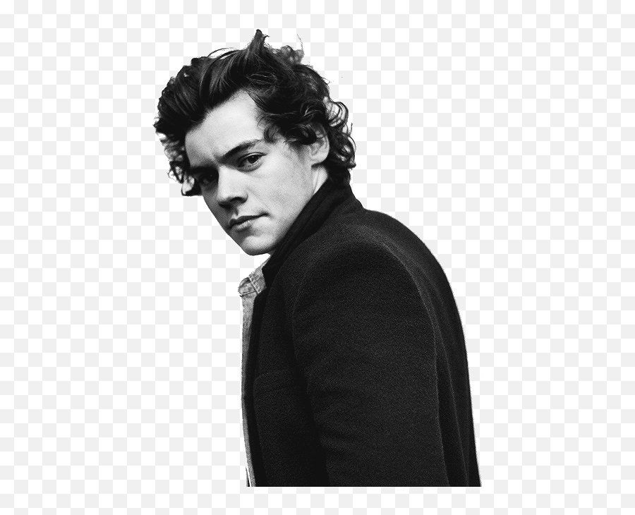 Harry Styles Png Uploaded By Cogito Ergo Sum - Harry Styles John Mayer,Harry Styles Png