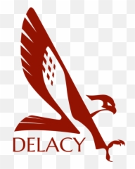 Faulcon Delacy - Elite Dangerous png
