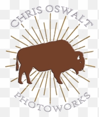 Jmt Blog Chris Oswalt Photoworks Png Icon Accelerant Boots