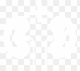 Nephrology U2013 Chpl - Alamy Icono Nefrologia Png,Doctor Icon Black And White