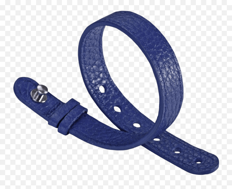 Blue Leather Strap - For Steel Icon Model 10scblst Philip Stein Png,Leather Icon