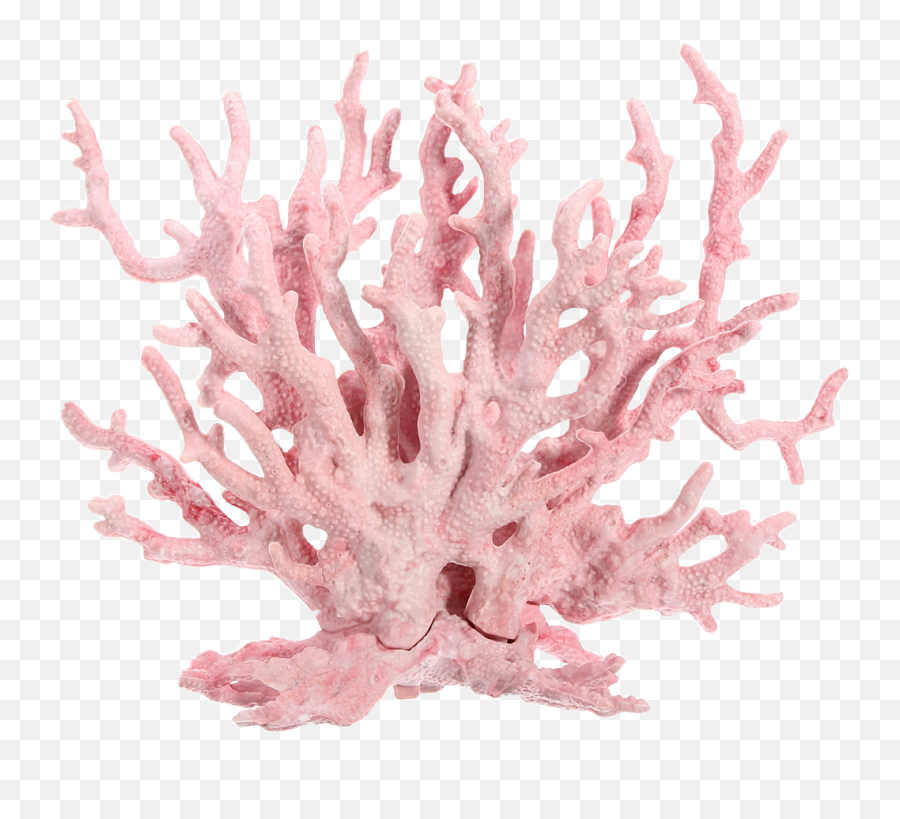 Pink Coralsea Coral Corals Pastel - Pink Coral Reef Png,Coral Png