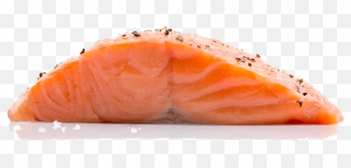 Fish - Transparent Salmon Fish Png,Transparent Fish