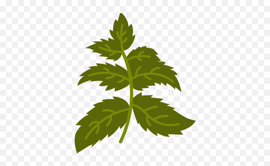 Small Plant Flat Transparent Png U0026 Svg Vector - Fines Herbes,Cilantro Icon