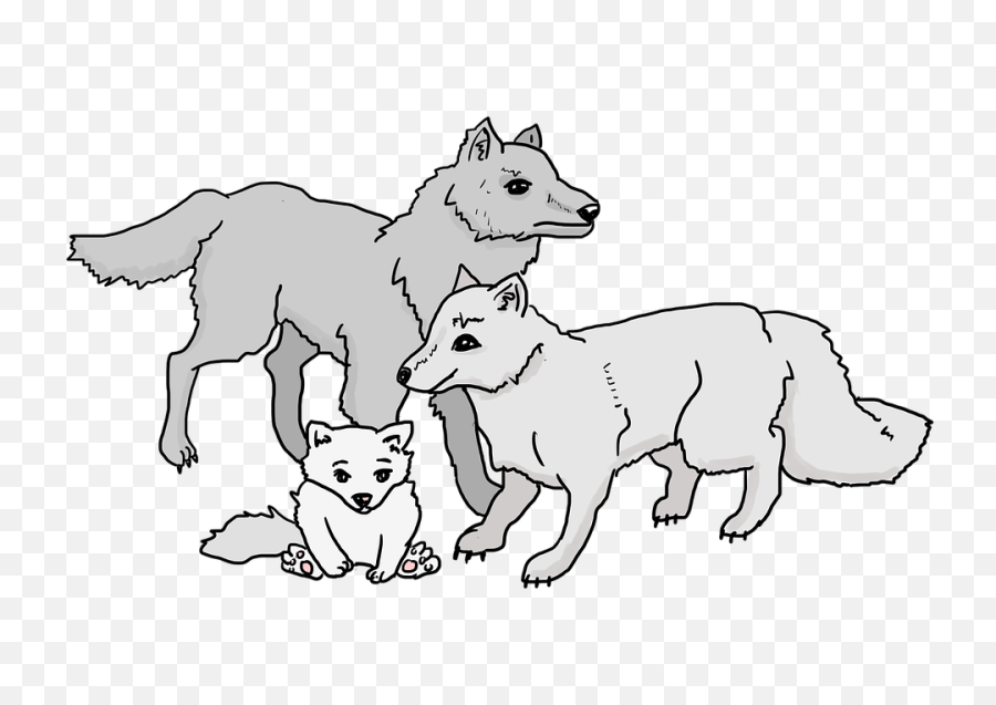 Free Photos Wolf Cub Search Download - Needpixcom Pack Of Wolves Cartoon Png,Howling Wolf Png