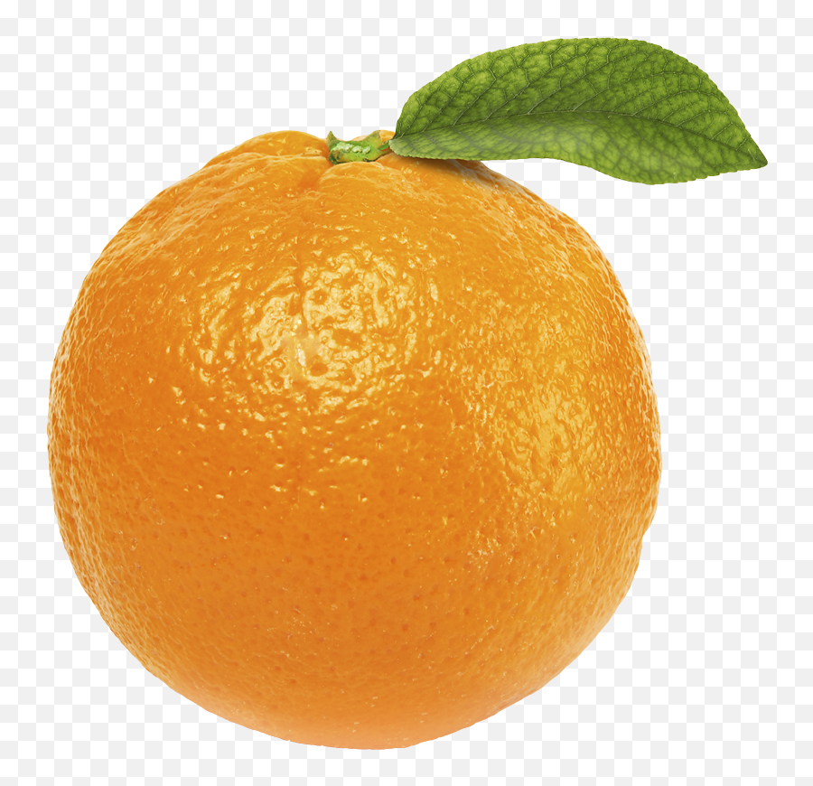 Download Orange Png Image - Single Fruits Png,Orange Png