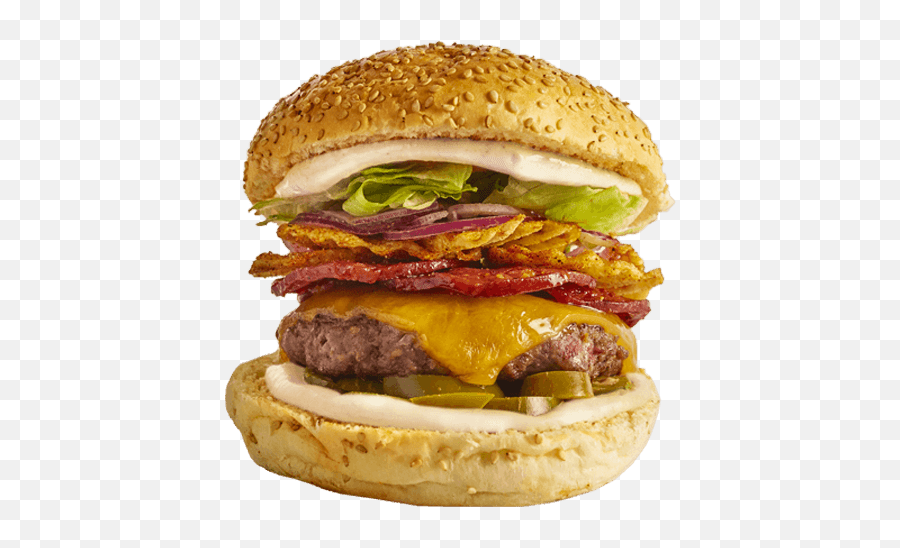 The Spicy Ring Of Fire Burger - Spicy Homemade Burger Png,Ring Of Fire Png