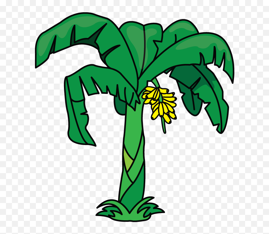 Library Of Plantain Tree Graphic Royalty Free Png - Cartoon Drawings Of Banana Tree,Banana Leaf Png