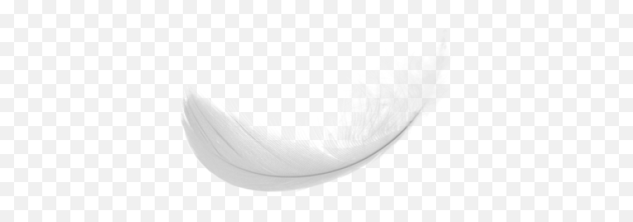 Curly Feather Png Download - Bean Bag Chair,Feather Png