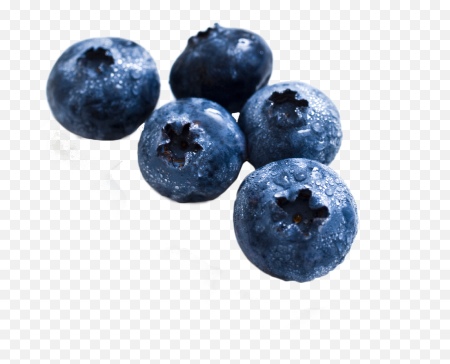 Blueberry Png Image - Real Fruit Pictures To Print,Blueberry Transparent Background