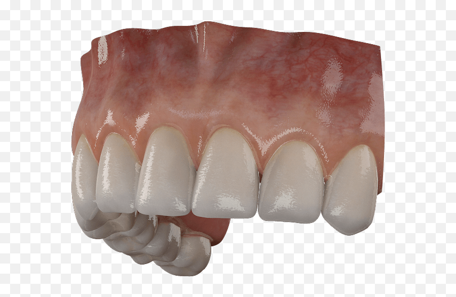 Download 3d Teeth Data Sheet - Teeth 3d Model Free Download Png,Teeth Png