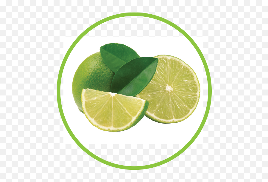 Lime - Key Lime Png,Limes Png