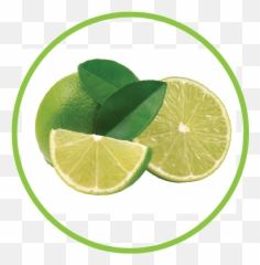 Lime - Key Lime Png,Limes Png