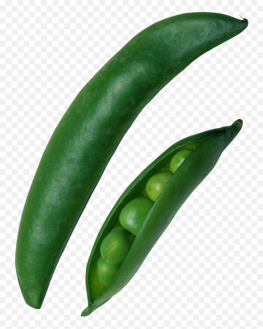 Download Pea Png Image With Transparent