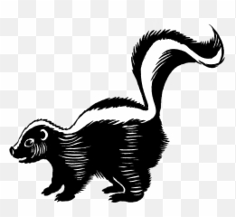 Skunk Png Background - Skunk Black And White,Skunk Transparent