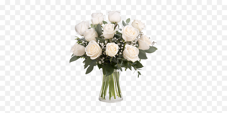 Touch Of Class 12 White Roses - Dozen White Roses Png,White Rose Transparent