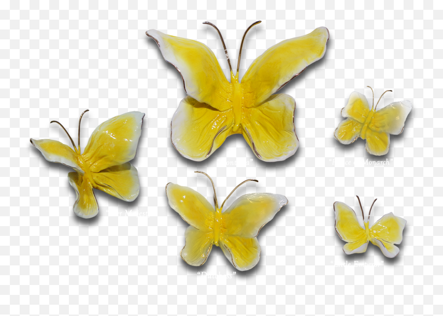 Buttercup Butterflies - Decorative Png,Buttercup Png