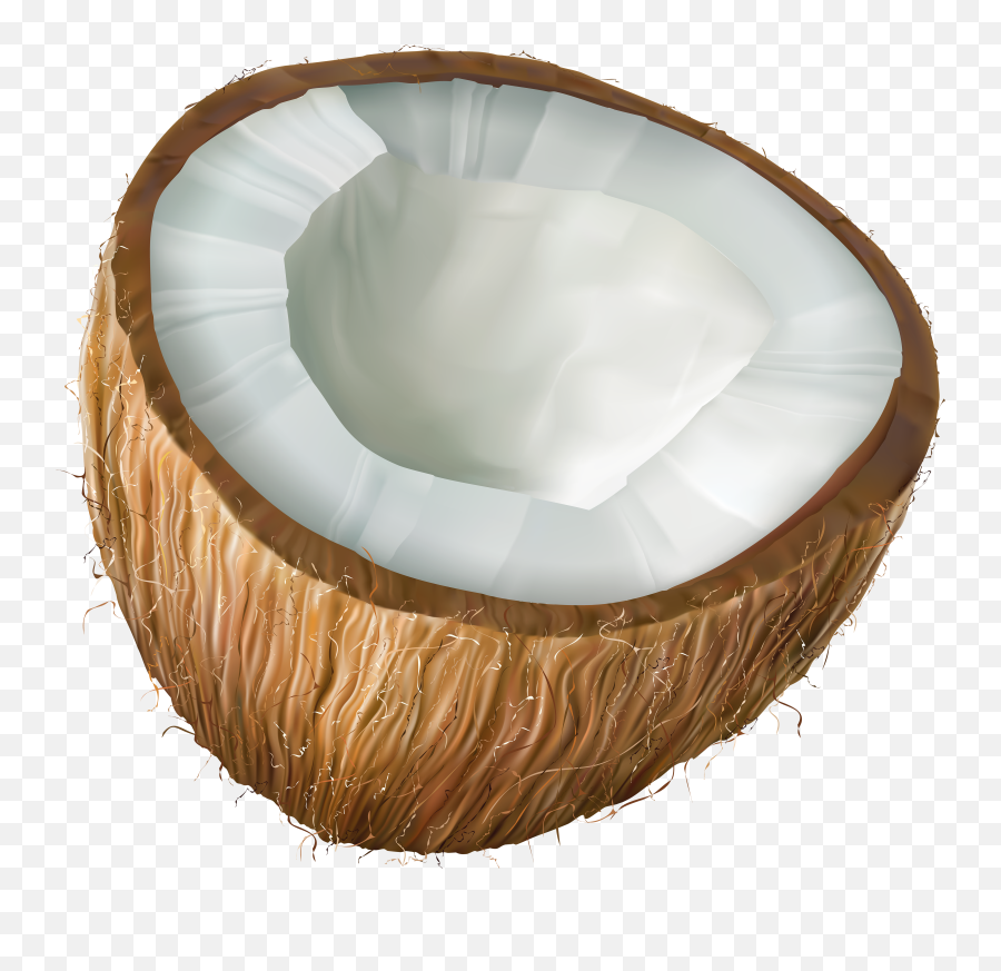 Coconut Clipart Transparent - Coconut Clipart Transparent Background Png,Pillow Transparent Background
