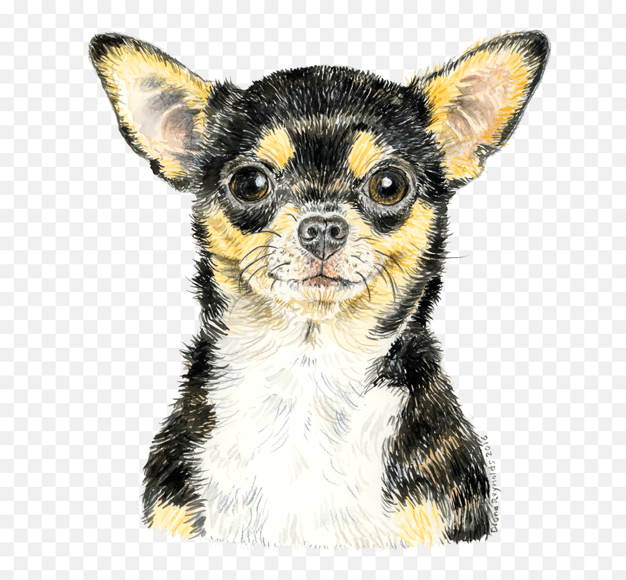 Download Chihuahua - Watercolour1 Chihuahua Png Image With Vulnerable Native Breeds,Chihuahua Png