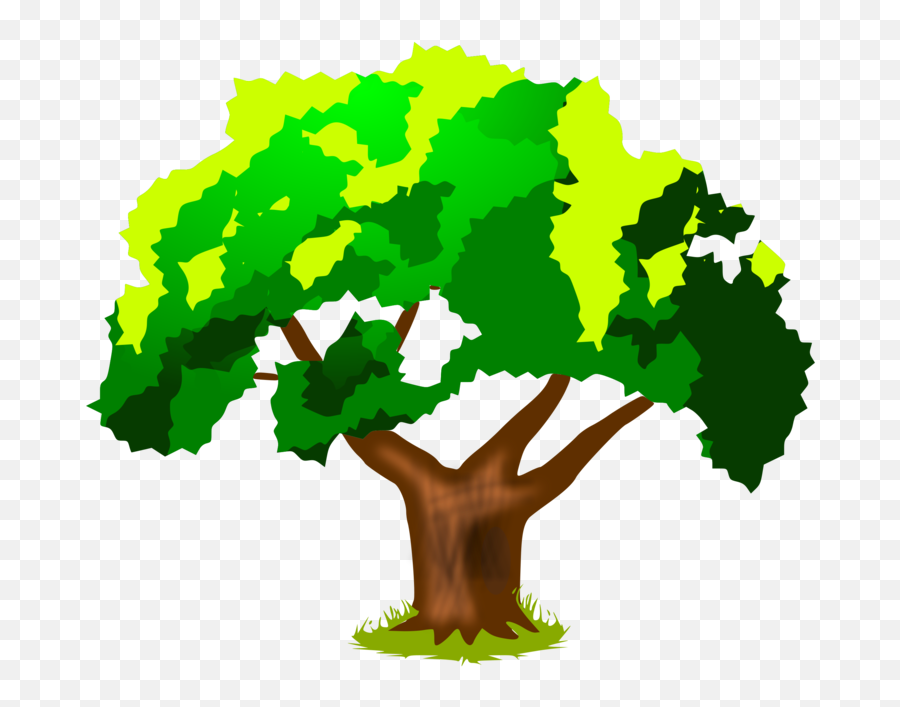 Plantleaftree Png Clipart - Royalty Free Svg Png Cofton Primary School,Oak Tree Png