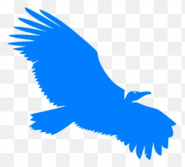 Turkey Vulture Beaky Buzzard Silhouette Clip Art - Blue Vulture Png,Vulture Transparent