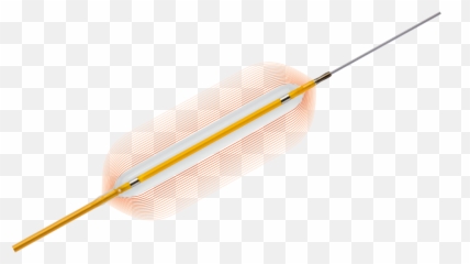 Pantera Leo - Biotronik png